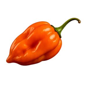 Salsa Habanero